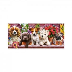 Castorland 600 Parça Puzzle Puppies on a Shelf