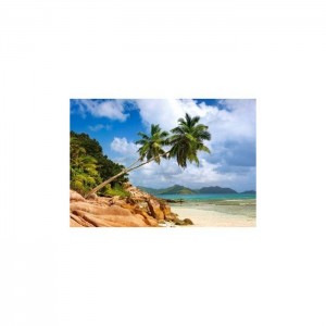 Castorland 1000 Parça Puzzle Secret Beach, Seychelles