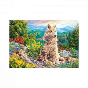 Castorland 1000 Parça Puzzle New Generation