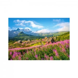 Castorland 1000 Parça Puzzle Hala Gasienicowa , Tatras , Poland