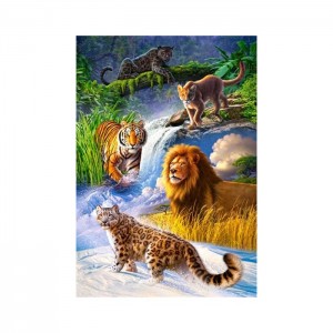 Castorland 1000 Parça Puzzle Big Cats
