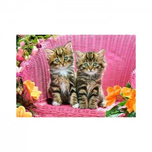 Castorland 1000 Parça Puzzle Kittens on Garden Chair