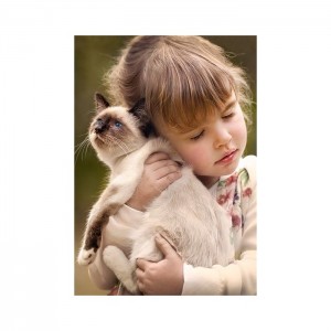 Castorland 500 Parça Puzzle Pure Love