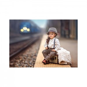 Castorland 500 Parça Puzzle It's a Big World Out There