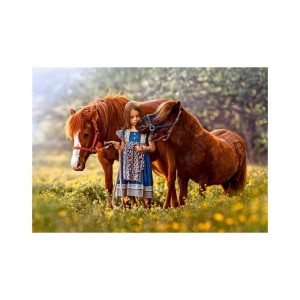 Castorland 500 Parça Puzzle Beauty Within