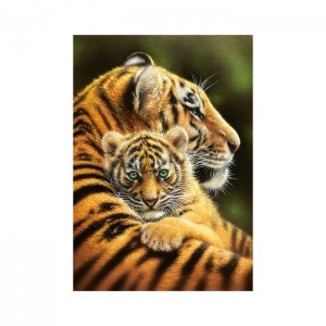 Castorland 500 Parça Puzzle Cherished