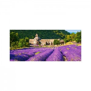 Castorland 600 Parça Puzzle Notre Dame de Senanque, France