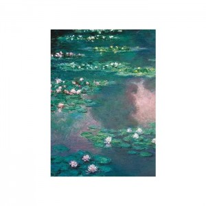 Ravensburger 1000 Parça Puzzle Nilüferli Göl