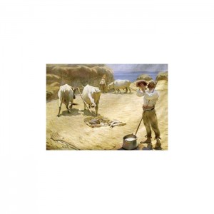 Gold 1000 Parça Puzzle Harman