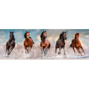 Clementoni 1000 Parça Horses Puzzle